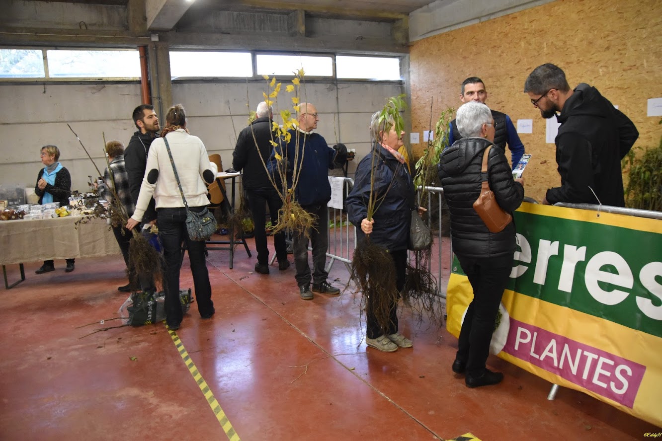 Distribution gratuite d'arbres et d'arbustes mais aussi activités diverses
