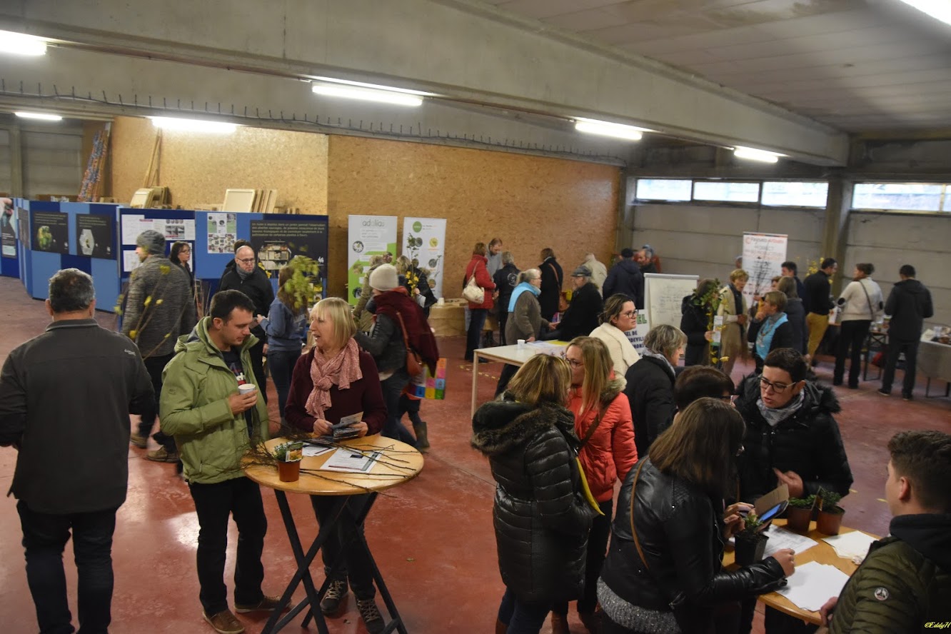 Distribution gratuite d'arbres et d'arbustes mais aussi activités diverses
